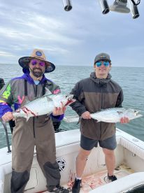 Holmes Beach Report Photo 2