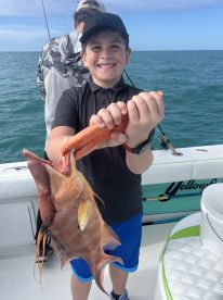 HOGFISH bites on fire !! 