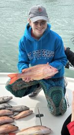 Nearshore grocery trip