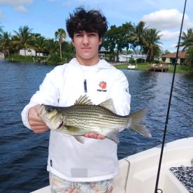 Delray Beach Report Photo 2
