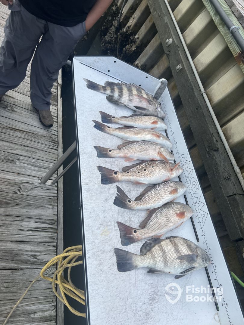 Murrells Inlet Report Photo 0