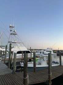 Orange Beach Report Photo 1