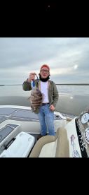 St. Bernard Report Photo 1