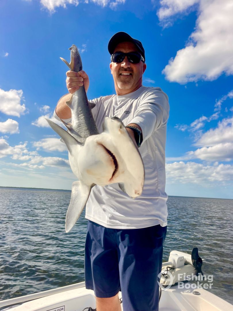 Punta Gorda Report Photo 0