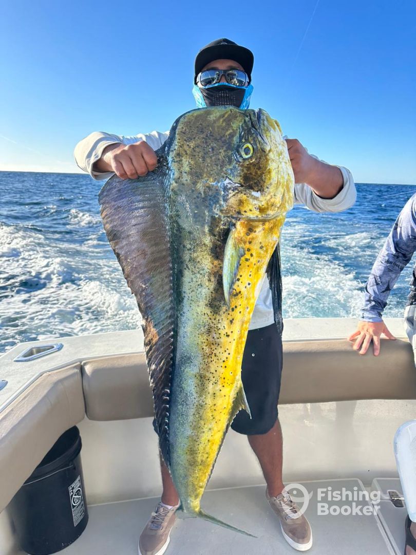 Cabo San Lucas Report Photo 0
