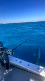 Fort Lauderdale Report Photo 2