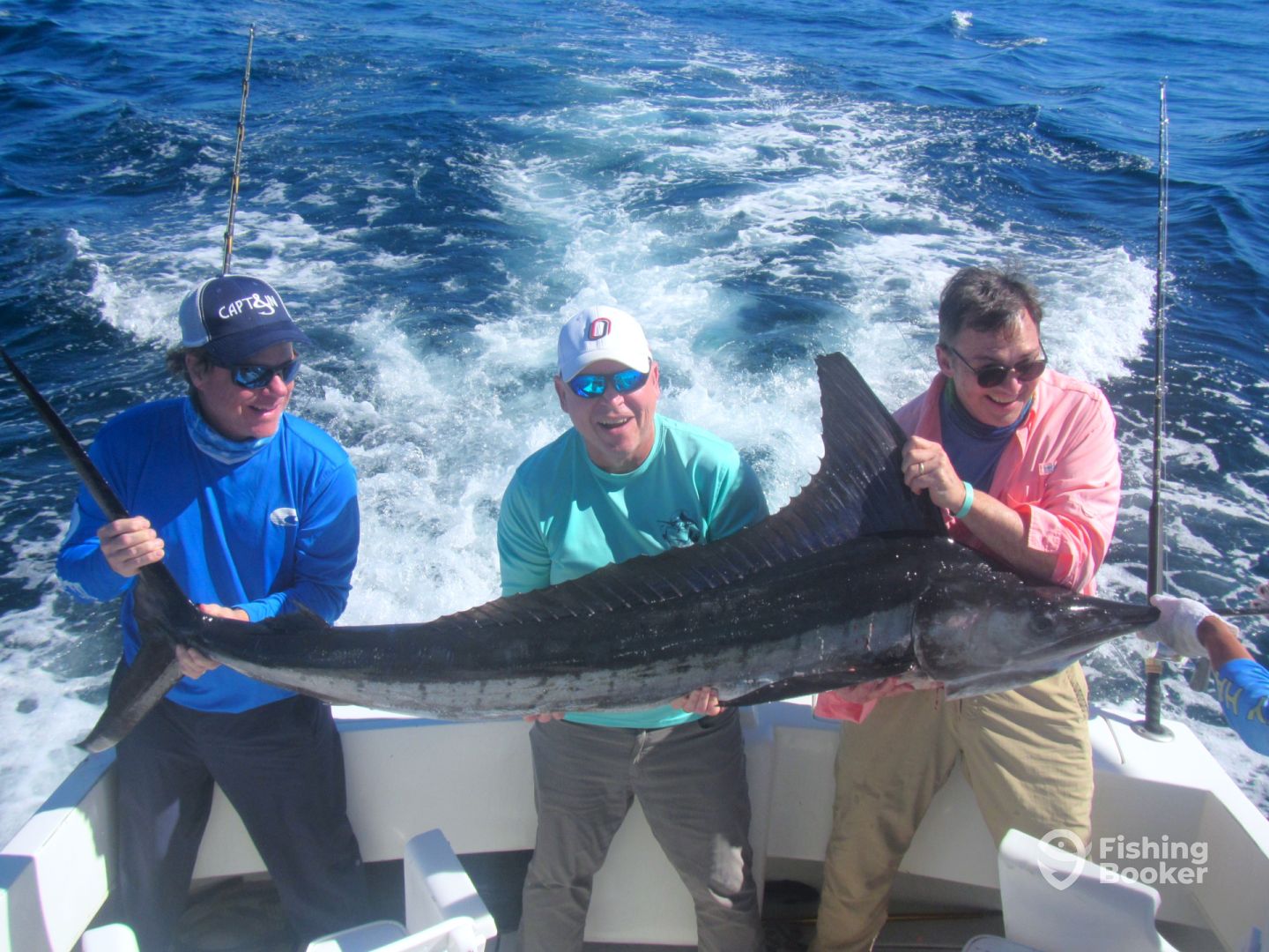 Cabo San Lucas Report Photo 0