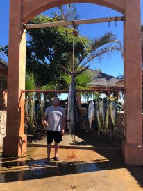 San Jose del Cabo Report Photo 1