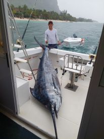 Le Morne Report Photo 2