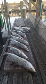 Atlantic Beach Report Photo 1