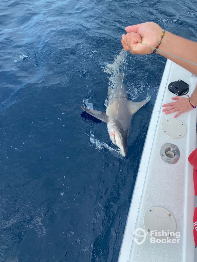 Cancún Report Photo 0