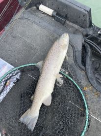 Oak Creek Report Photo 1