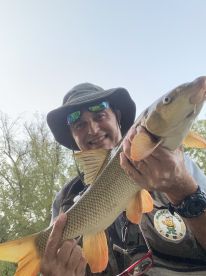 Barbes fish whit nymp perdigones