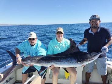 Cabo San Lucas Report Photo 2