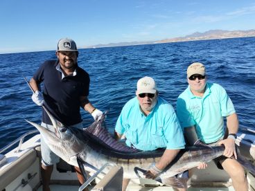 Cabo San Lucas Report Photo 1