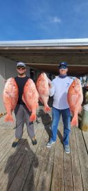 Red Snapper