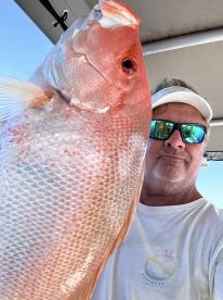 Port Douglas Report Photo 2
