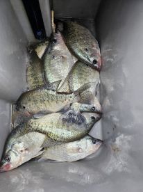 Grenada Report Photo 3