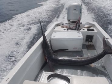 San Jose del Cabo Report Photo 2