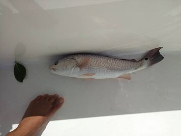 Pompano Beach Report Photo 2