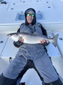 Who said a gator always has to be green