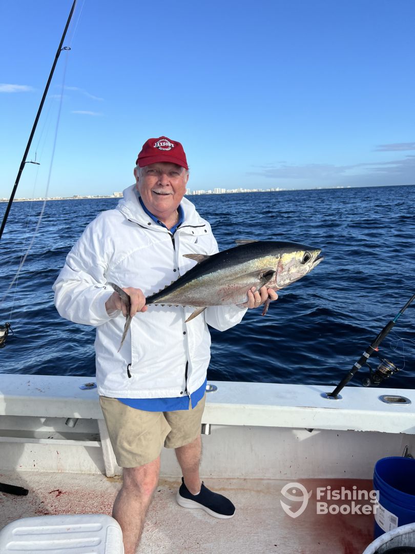 Dania Beach Report Photo 0