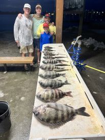 Jacksonville Report Photo 1