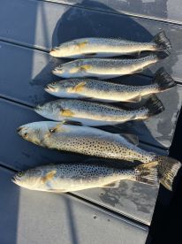 Fort Myers Report Photo 1