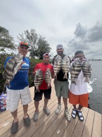 Holmes Beach Report Photo 1