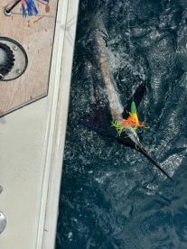 2024   Fishing Report NEWS  FLASH !!!  