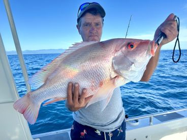 Port Douglas Report Photo 2
