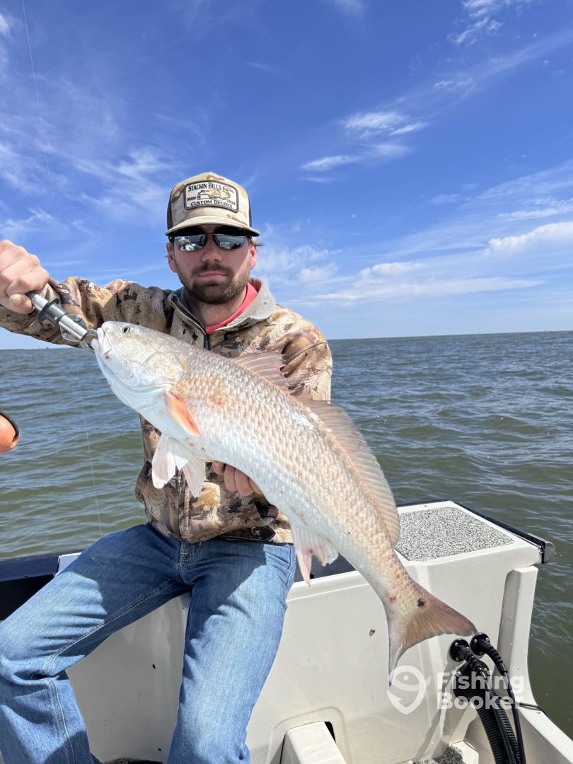 Galveston Report Photo 0