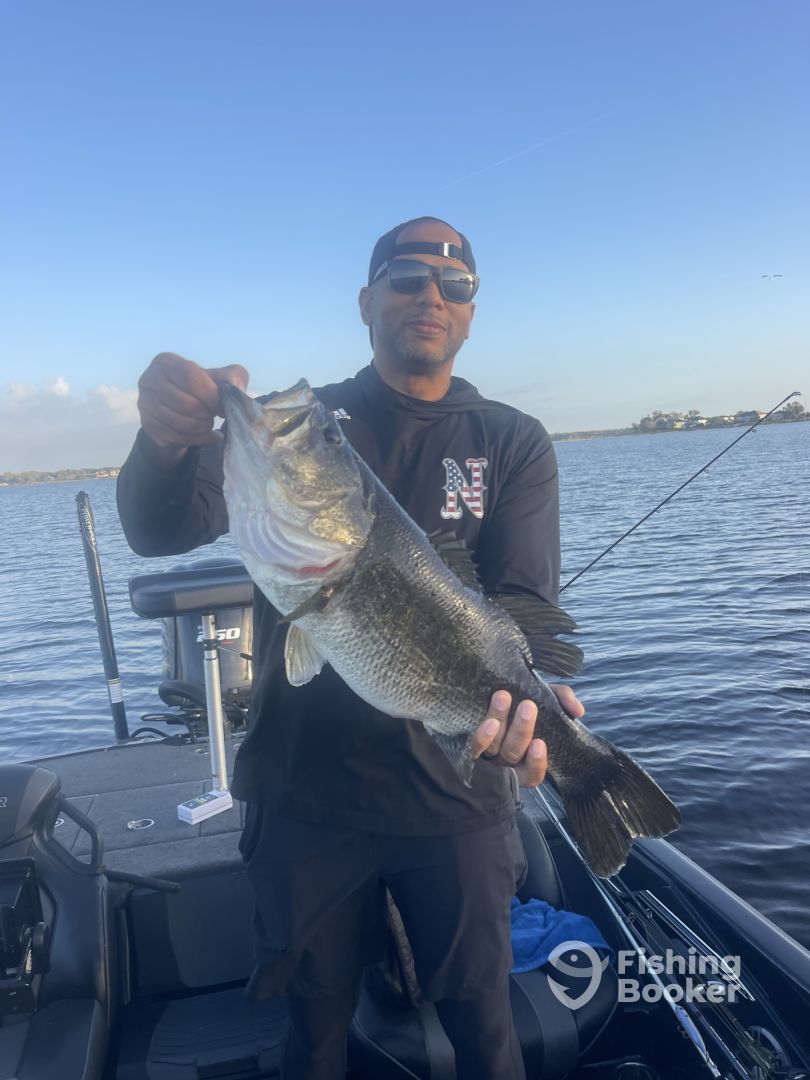 Winter Garden Report Photo 0