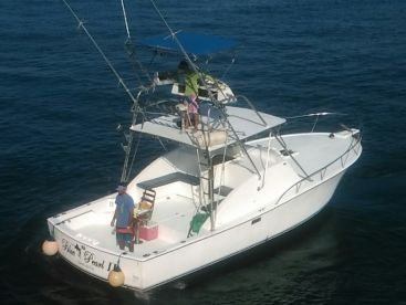 Hatteras 32