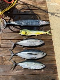 Pompano Beach Report Photo 2