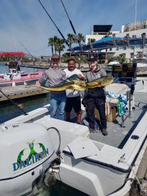 San Jose del Cabo Report Photo 1