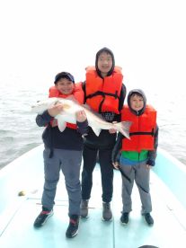 Destin Report Photo 1