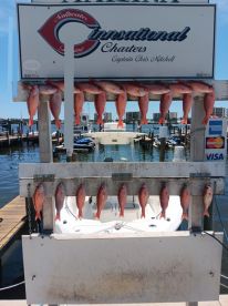 Destin Report Photo 1