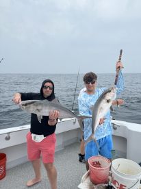 Amberjack Season starts May 1st!