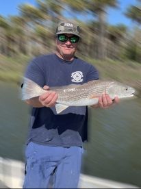 Red fish on the run