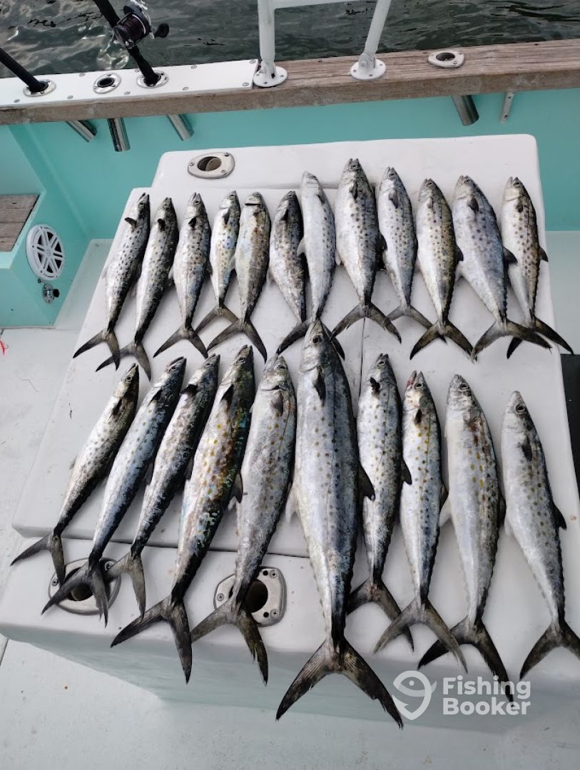 Destin Report Photo 0