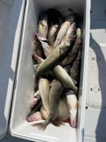 Fishing is Hot 