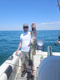 Belleair Bluffs Report Photo 2