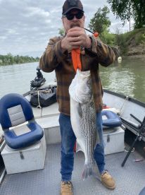 Is it Peak Striper season Yet? Can you s