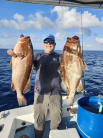 Giant Red Grouper 