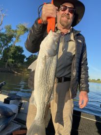 Stripers, Stripers, & More Stripers