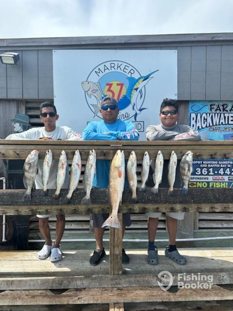 Corpus Christi Report Photo 0