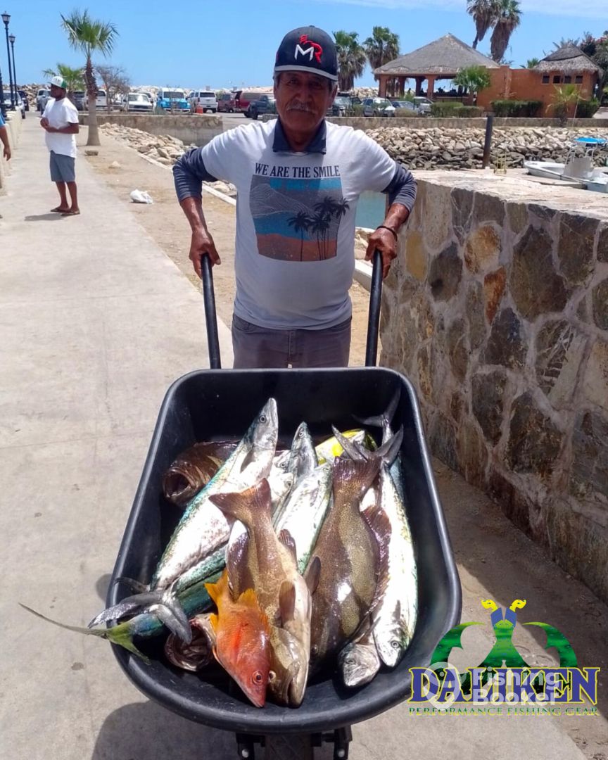 San Jose del Cabo Report Photo 0