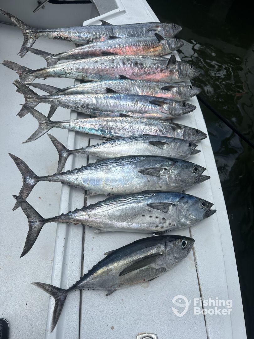 Fort Lauderdale Report Photo 0