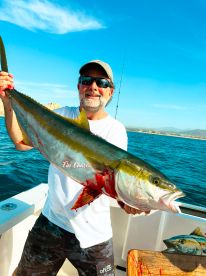 Cabo San Lucas Report Photo 1